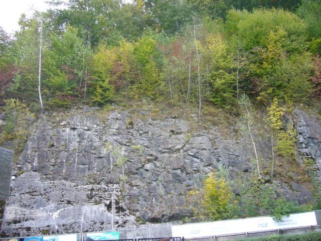 P1140209