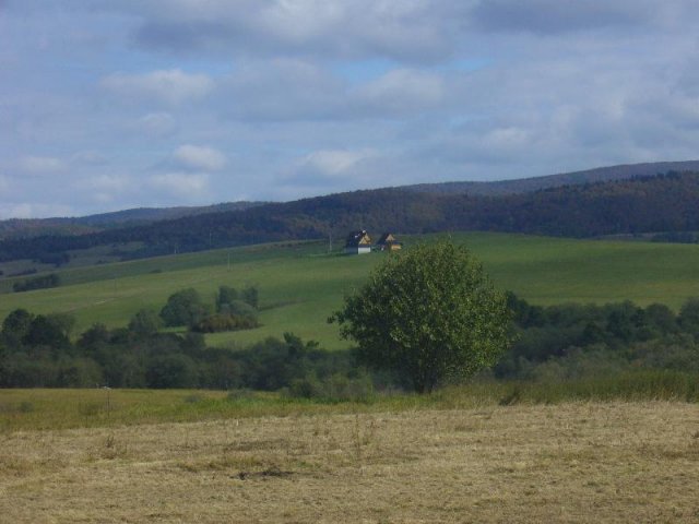 P1140321