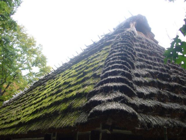 P1140426