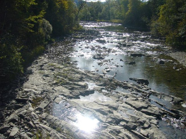 P1140452
