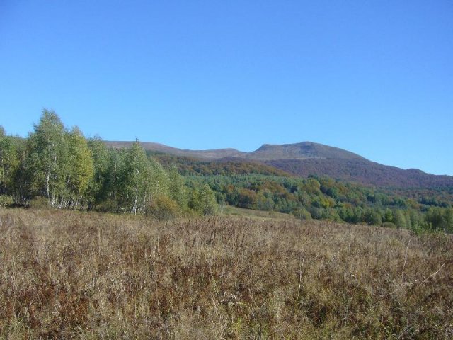 P1140486