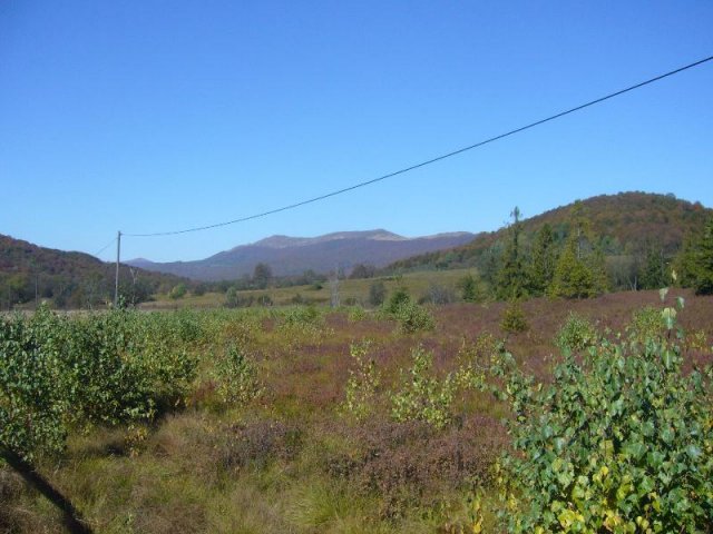 P1140519