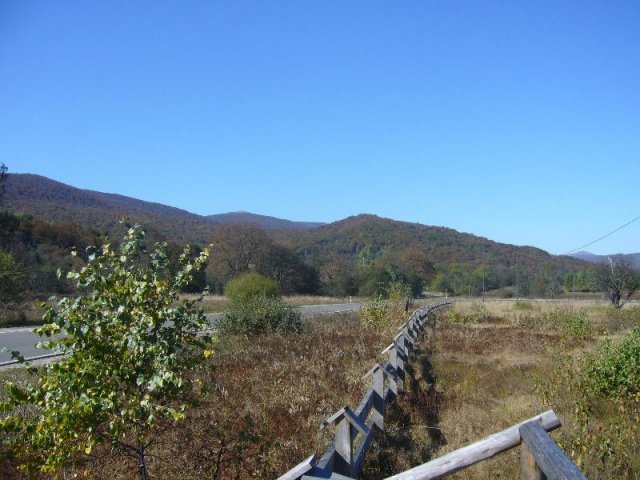 P1140520