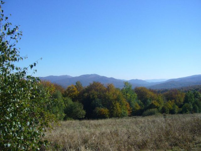 P1140528