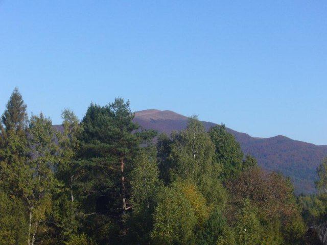 P1140551