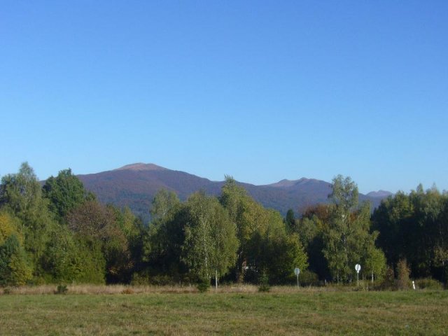P1140555