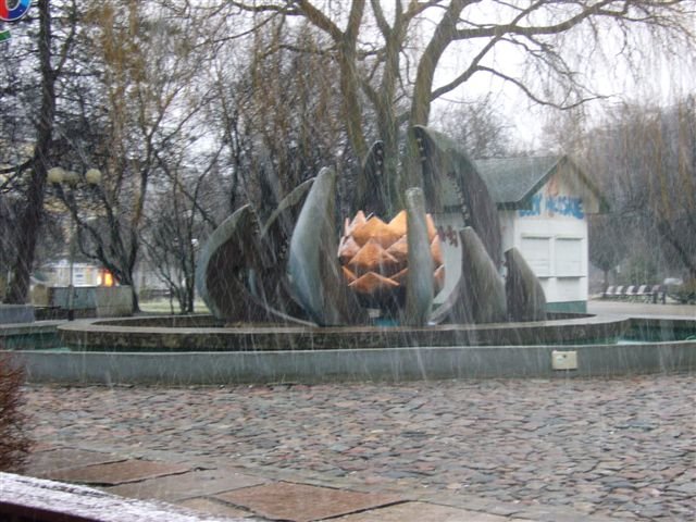 P1050561