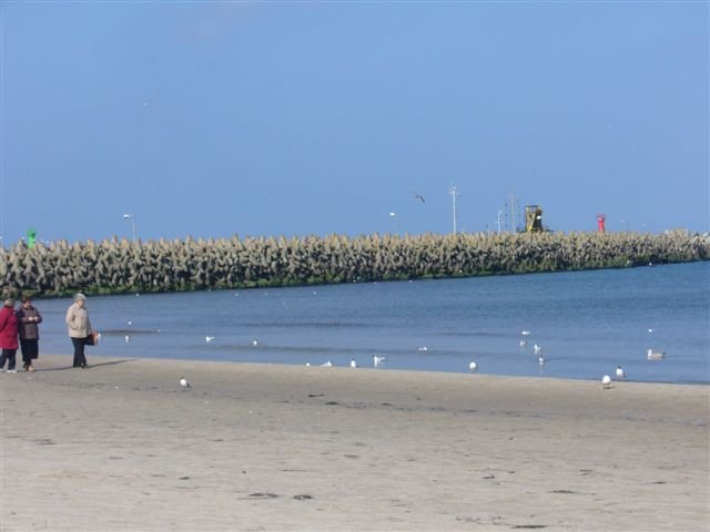 P1050684