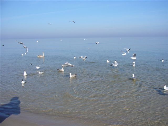 P1060004