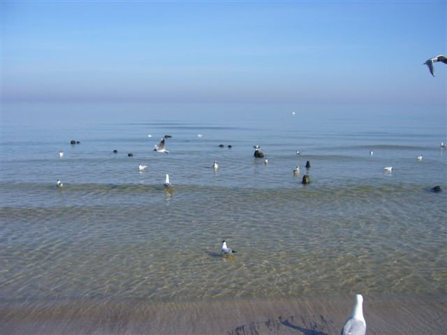 P1060006
