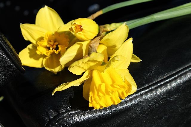 image005