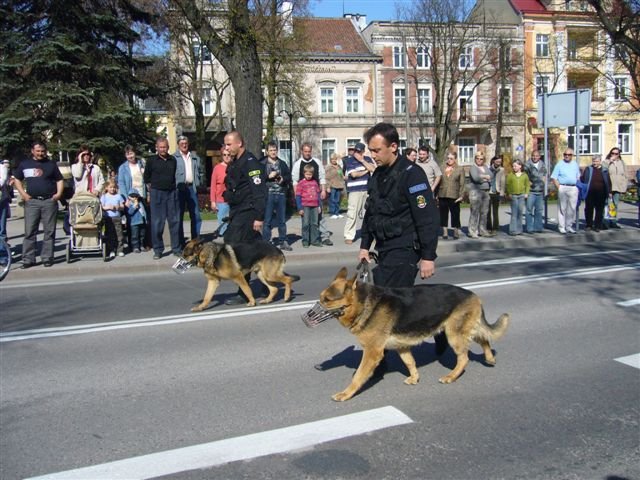 P1060131