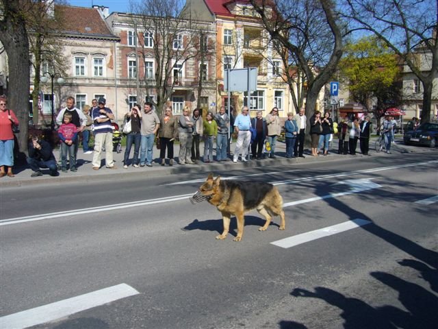 P1060132