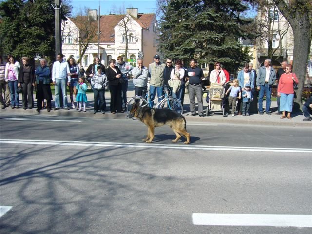 P1060133