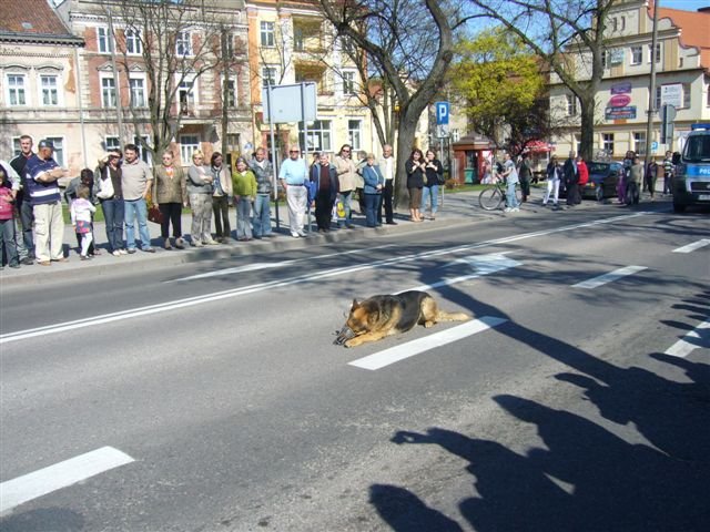P1060134
