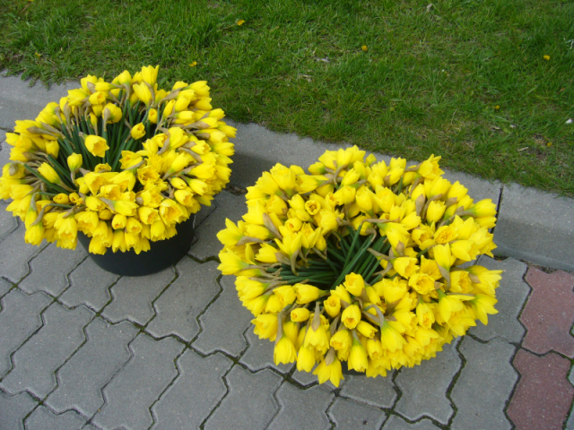 image001