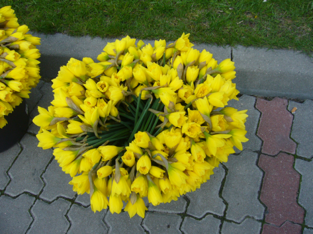 image002