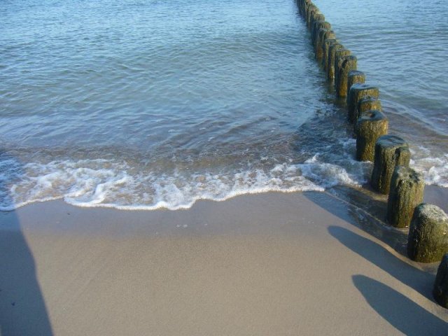 P1130223