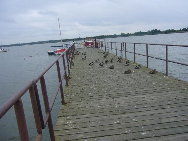 P1130248