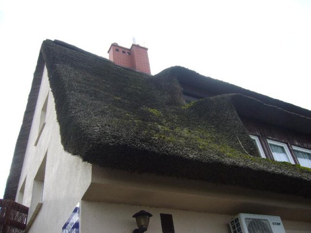 P1130344