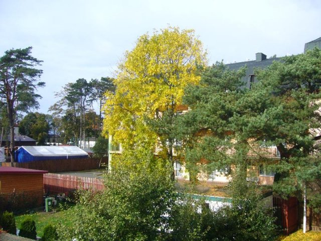 P1130379
